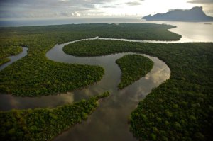 Photo copyright Tim Laman