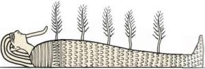 Corn sprouting from the body of Osiris