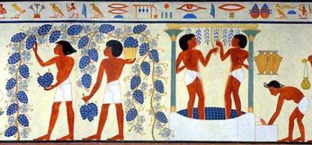 Egyptian grape harvest and winemaking