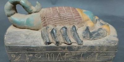 Egyptian scorpion